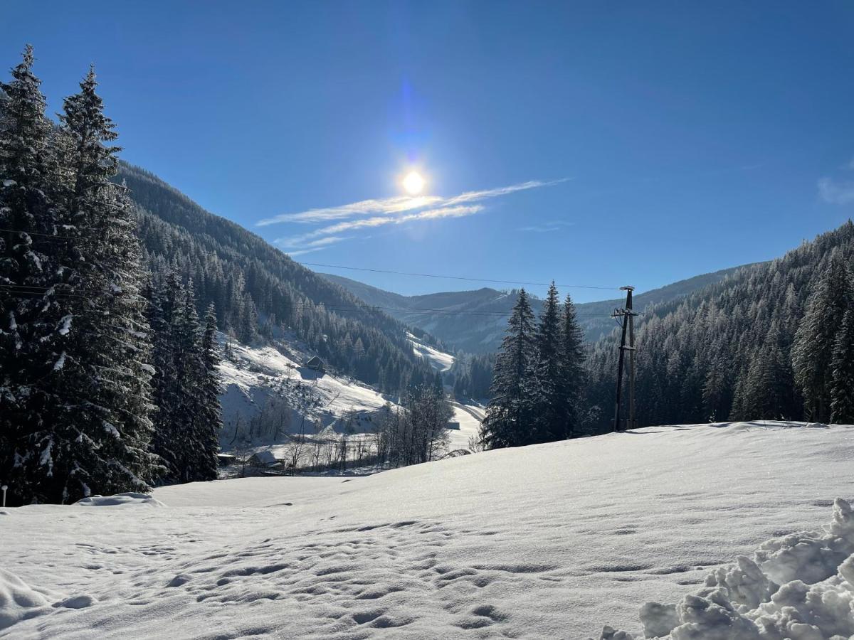 Ferienwohnungen Zum Klammlhof Ebene Reichenau Экстерьер фото